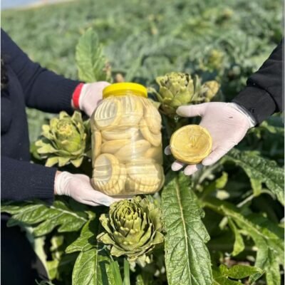 Günlük Soyulmuş Çanak Enginar - Küçük Boy - 10 Adet