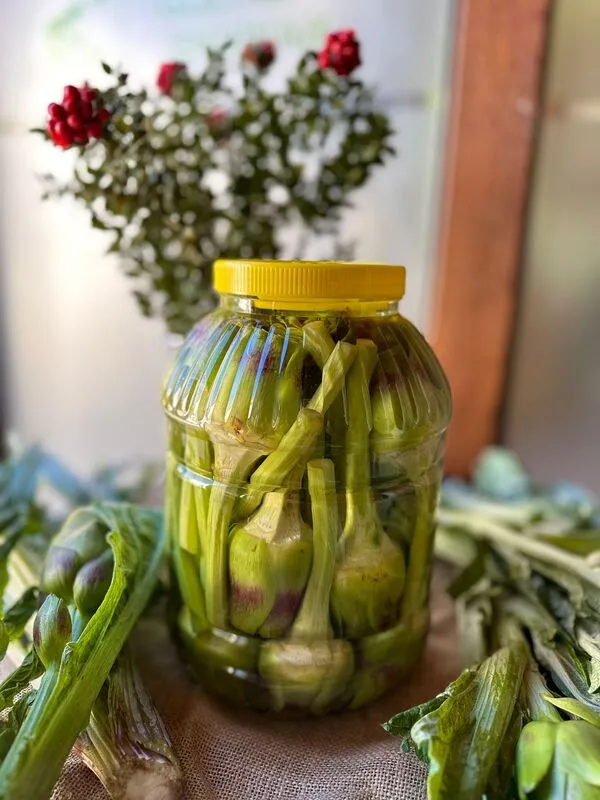 Günlük Soyulmuş Bebek Enginar - 50 Adet